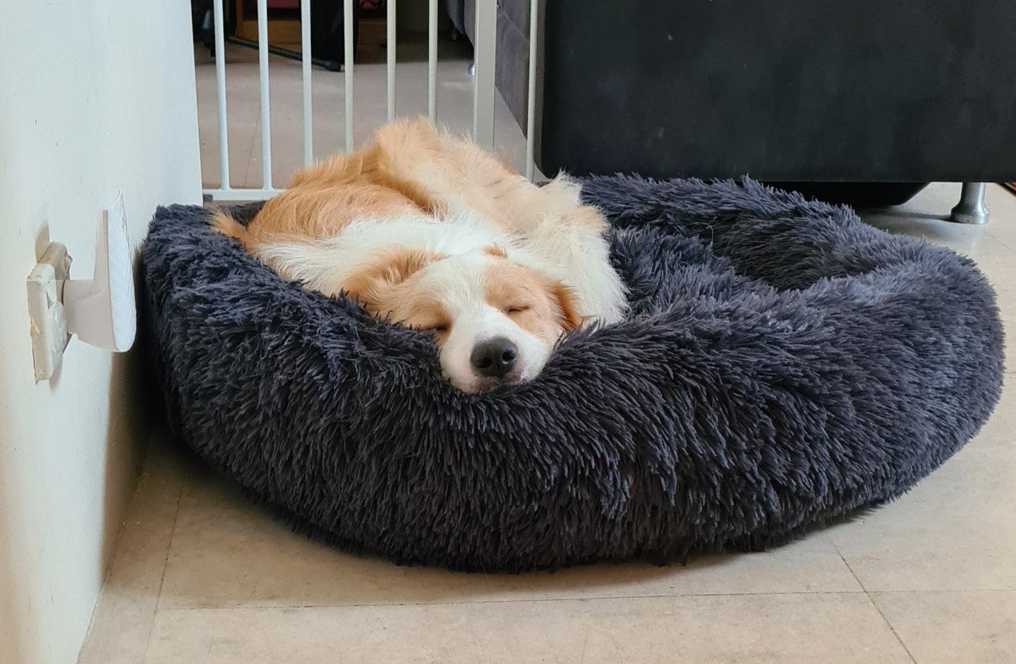 MrBarkly - Anxiety Relieving Dog Bed