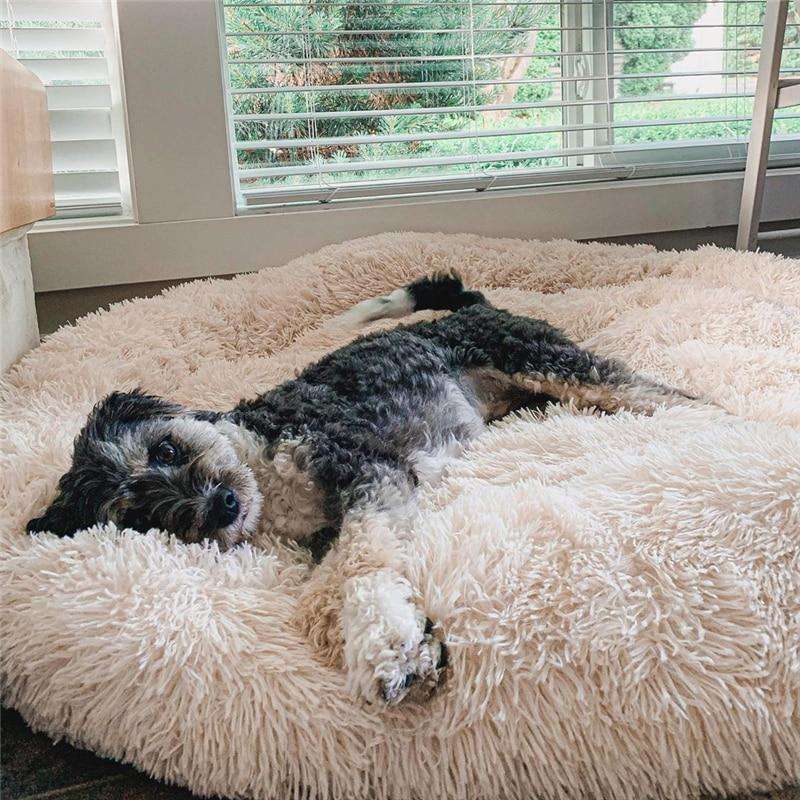 MrBarkly - Anxiety Relieving Dog Bed